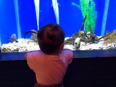 -蟹之国·精品蟹料理(极地店)