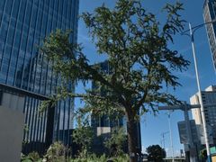 -天虹购物中心(石路店)