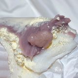 这家甜品店性价比忒高了!!