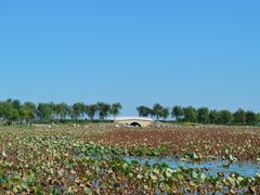 -天津东丽湖风景区