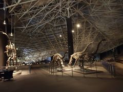 -世界恐龙谷景区