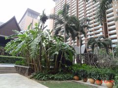 0110__100-三亚湾红树林度假世界(木棉酒店)