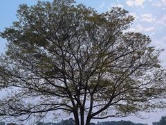 -汉长安城未央宫国家考古遗址公园