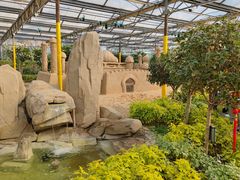 -南宫五洲植物乐园