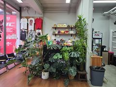 -TFC 纯泰拳馆MuayThai