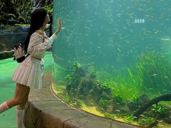 -海合安成都极地海洋公园