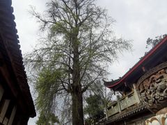 -金堂县云顶石城风景区