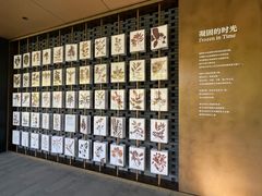 -云溪植物园