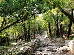 -阳台山自然风景区