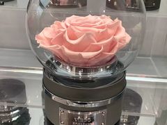 -ROSEONLY诺誓(广州K11店)