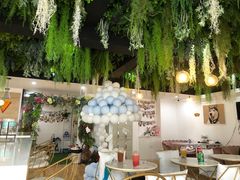 店内布置-Husky Go! 哈士奇体验馆·宠物咖啡厅狗咖