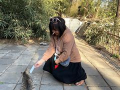 -四门塔风景区