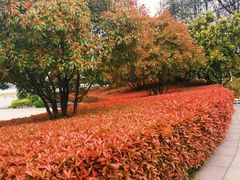 -云龙湖旅游景区