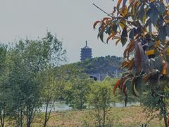 -永定河休闲森林公园