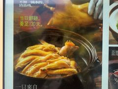 -佬肥猫(七宝宝龙店)