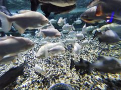 -成都浩海立方海洋公园