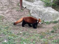 -上海野生动物园