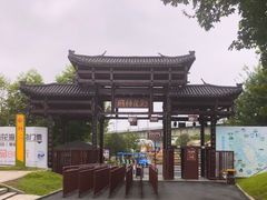 -枫林花海