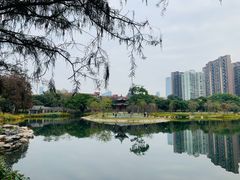 -四海公园(南山区)