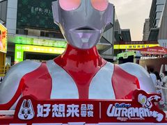 -万达广场(合肥天鹅湖店)