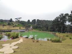 -铁山坪森林公园