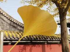 -承德避暑山庄景区