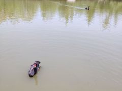 -溱湖国家湿地公园