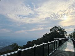 -黄埔油麻山森林公园