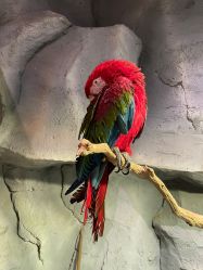 -Zoolung Zoolung动物主题公园(海信广场店)