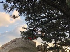 -罗田薄刀峰风景区