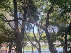 -大连植物园