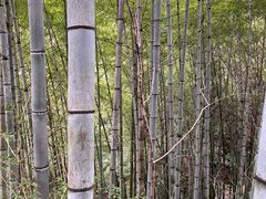 -宁波余姚老柿林山居度假村