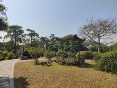 -东莞植物园