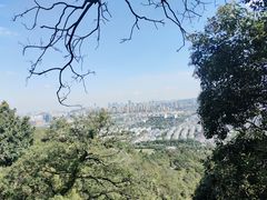 -灵岩山风景区