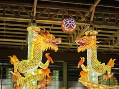 -武汉园博园(武汉自然博物馆)