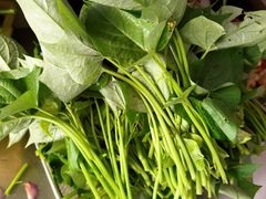 -楠溪江风景名胜区