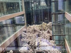 -嘉悦汗蒸时代(曙光路店)