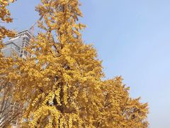 -两江幸福广场