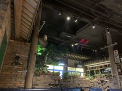 大堂-茅炒屋龙虾·烧烤·湘菜(新河路店)