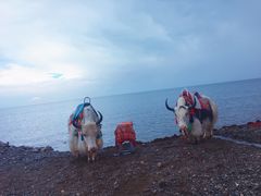 -青海湖国家重点风景名胜区