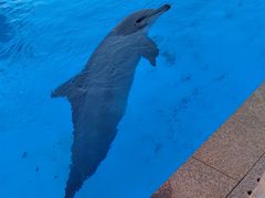 -长隆横琴湾酒店(珠海旗舰店)