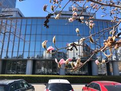 -西门子中国有限公司(阜通东大街店)