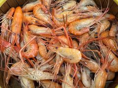 清蒸河虾-东胜客河鲜店·西江河鲜·老字號渔家菜