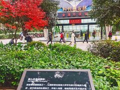 -观音桥步行街
