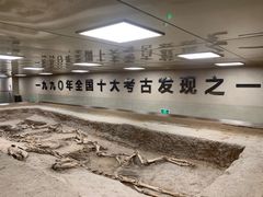-古车博物馆