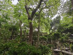 -绮园景区