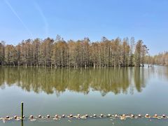-尚湖风景区