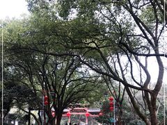 -杭州半山国家森林公园