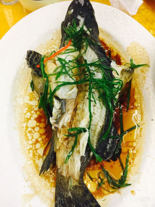 鑫鸿达海鲜餐厅(中山路店)招牌清蒸龙胆斑图片 - 第31张