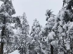 -西岭雪山大飞水景区
